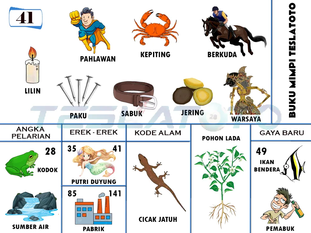 buku mimpi erek erek togel 41